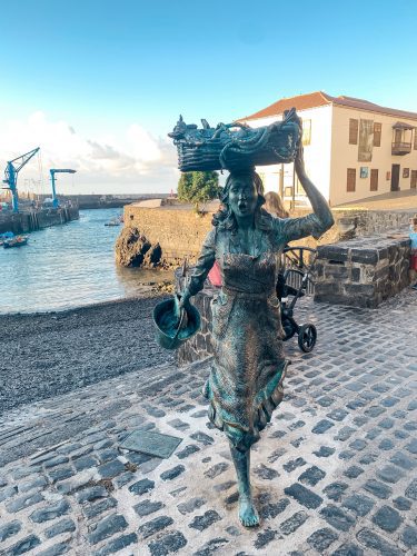 what to do in puerto de la cruz Tenerife