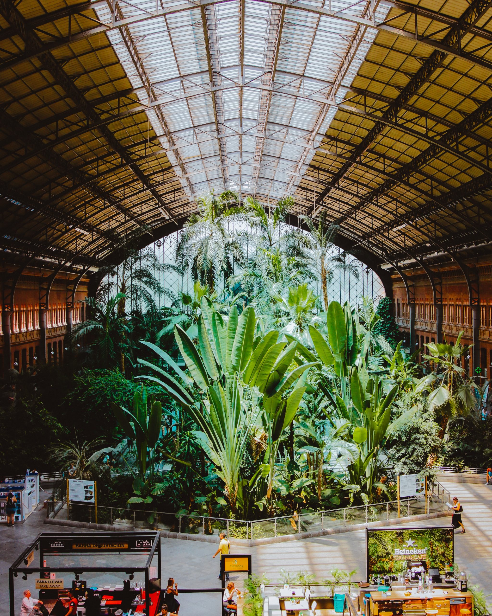 Tropical Garden Atocha Cheap Things to do in Madrid