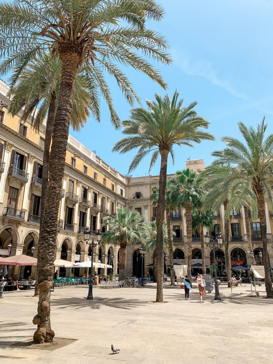 self guided walking tour in Barcelona Plaça real 3 days in Barcelona