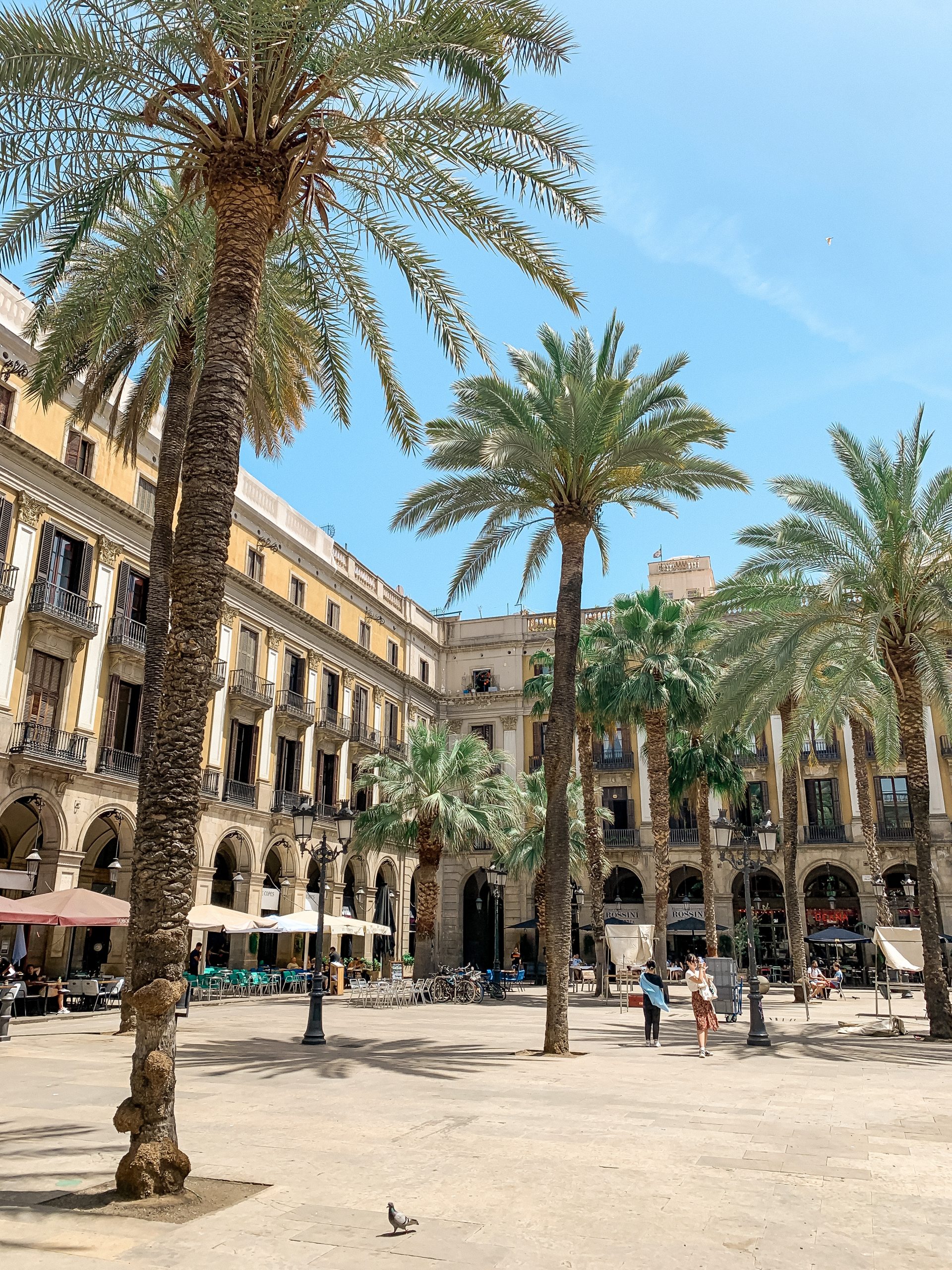 self guided walking tour in Barcelona Plaça real 