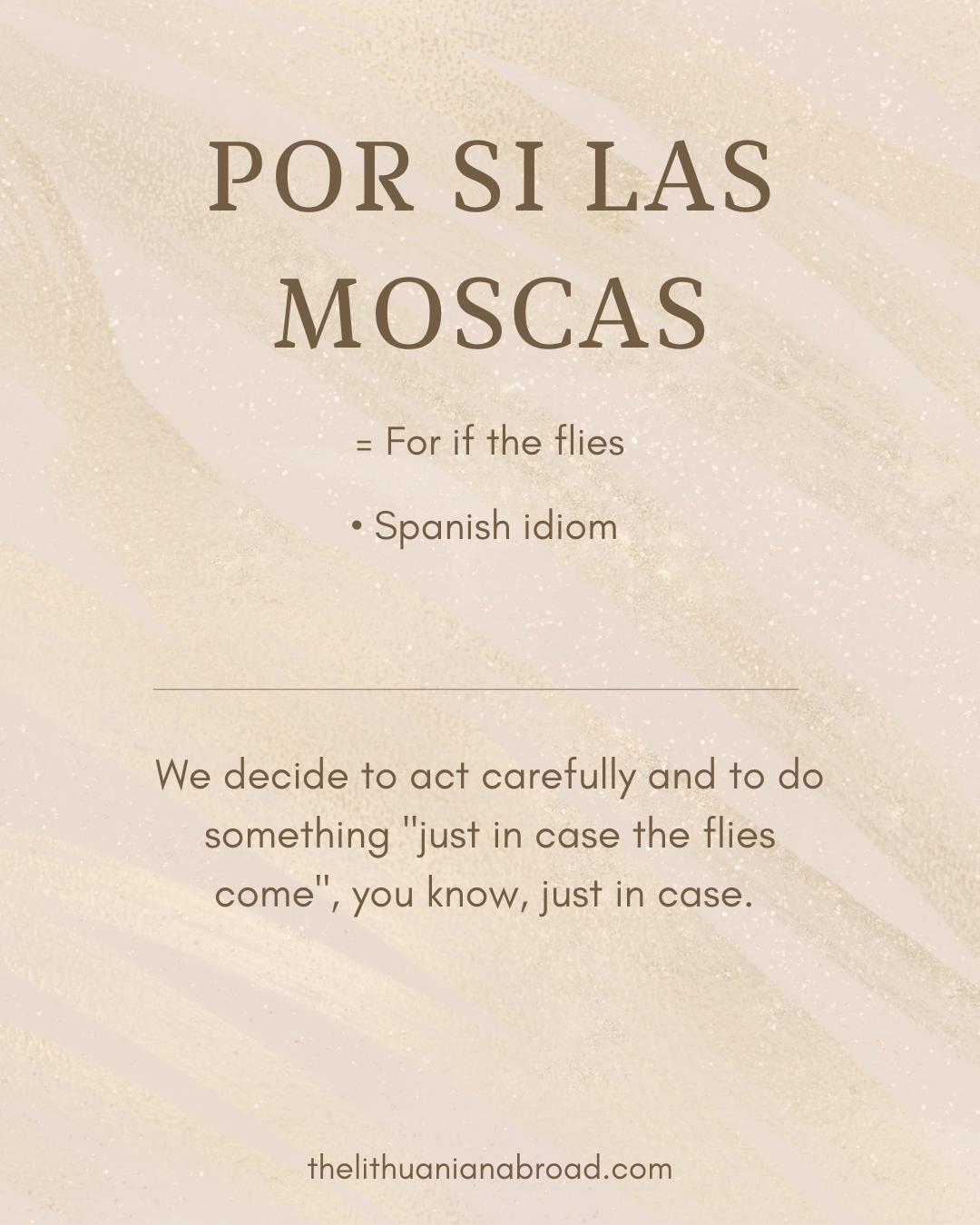 funny Spanish sayings por si las moscas for if the flies