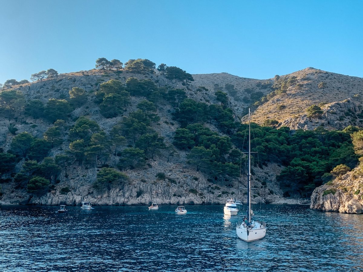 things to do in Alcudia boat trip landscape Is Mallorca worth visiting