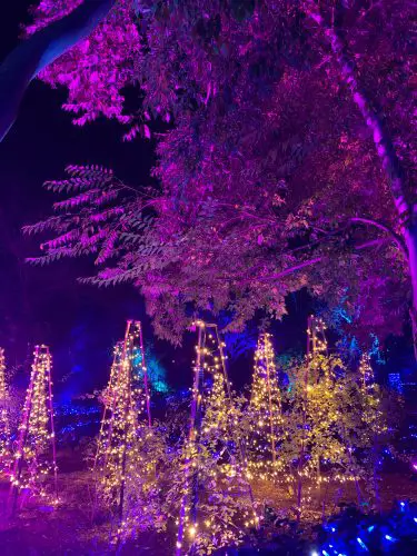 Madrid in December botanical garden light show