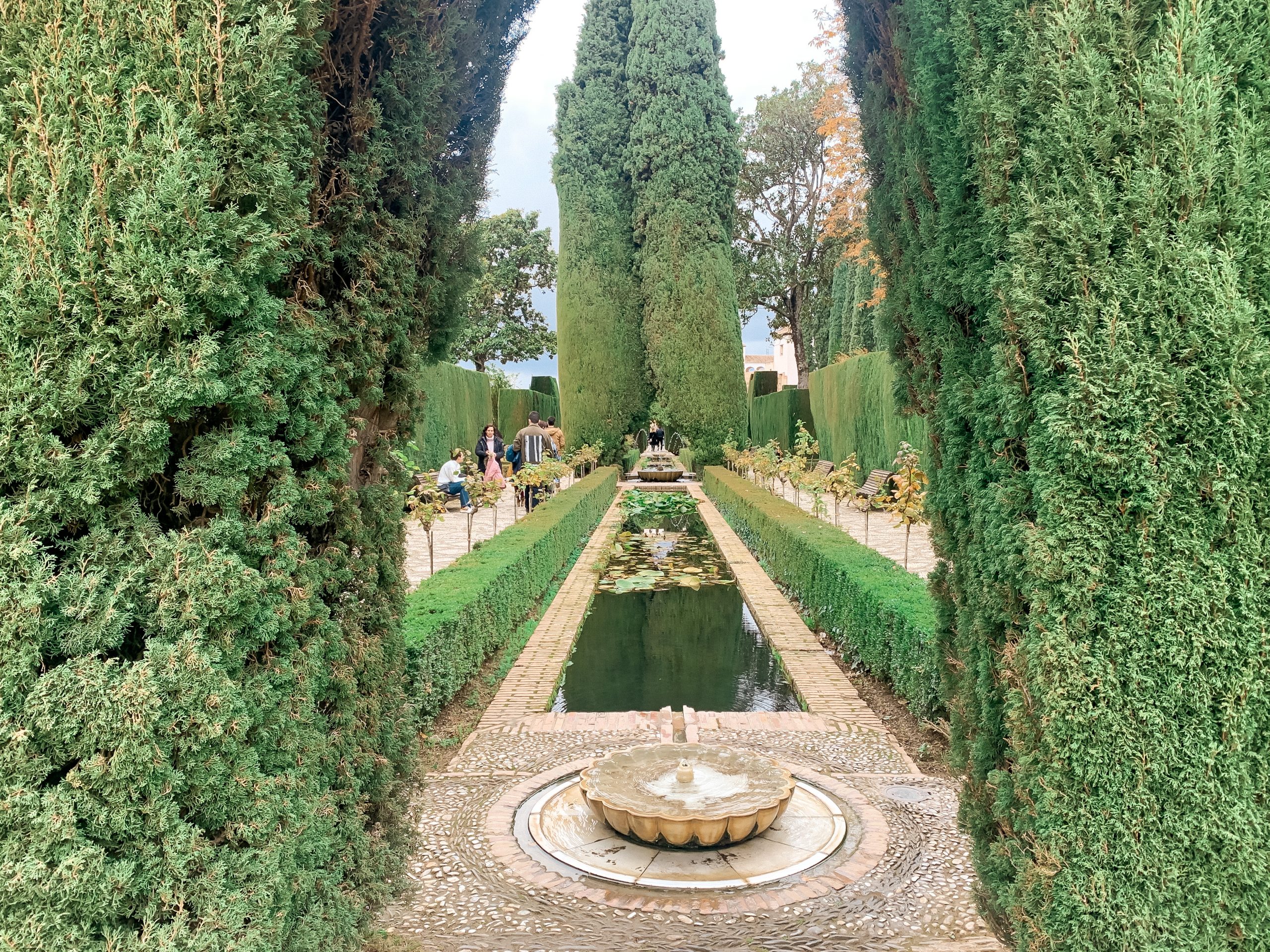 Alhambra gardens Granada in winter