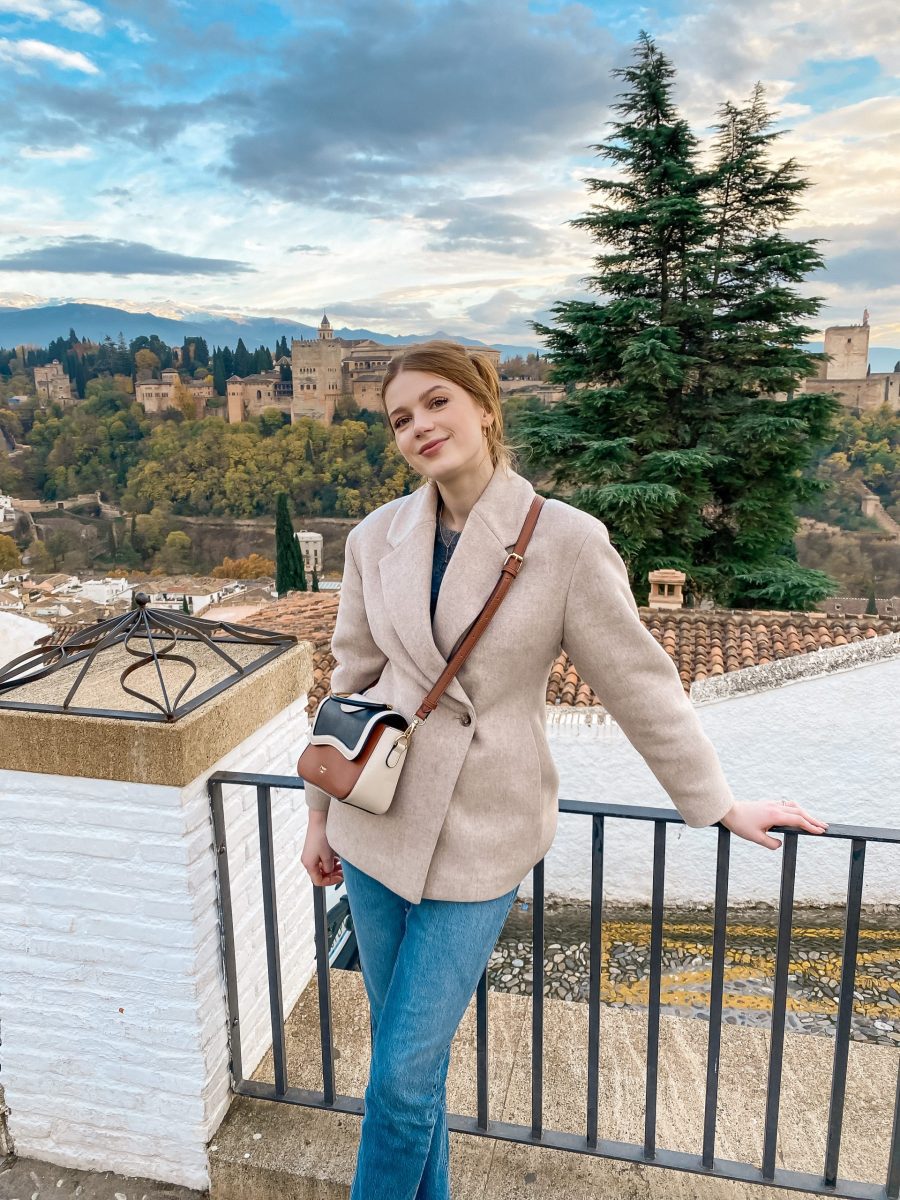 Granada in winter mezquita mayor view