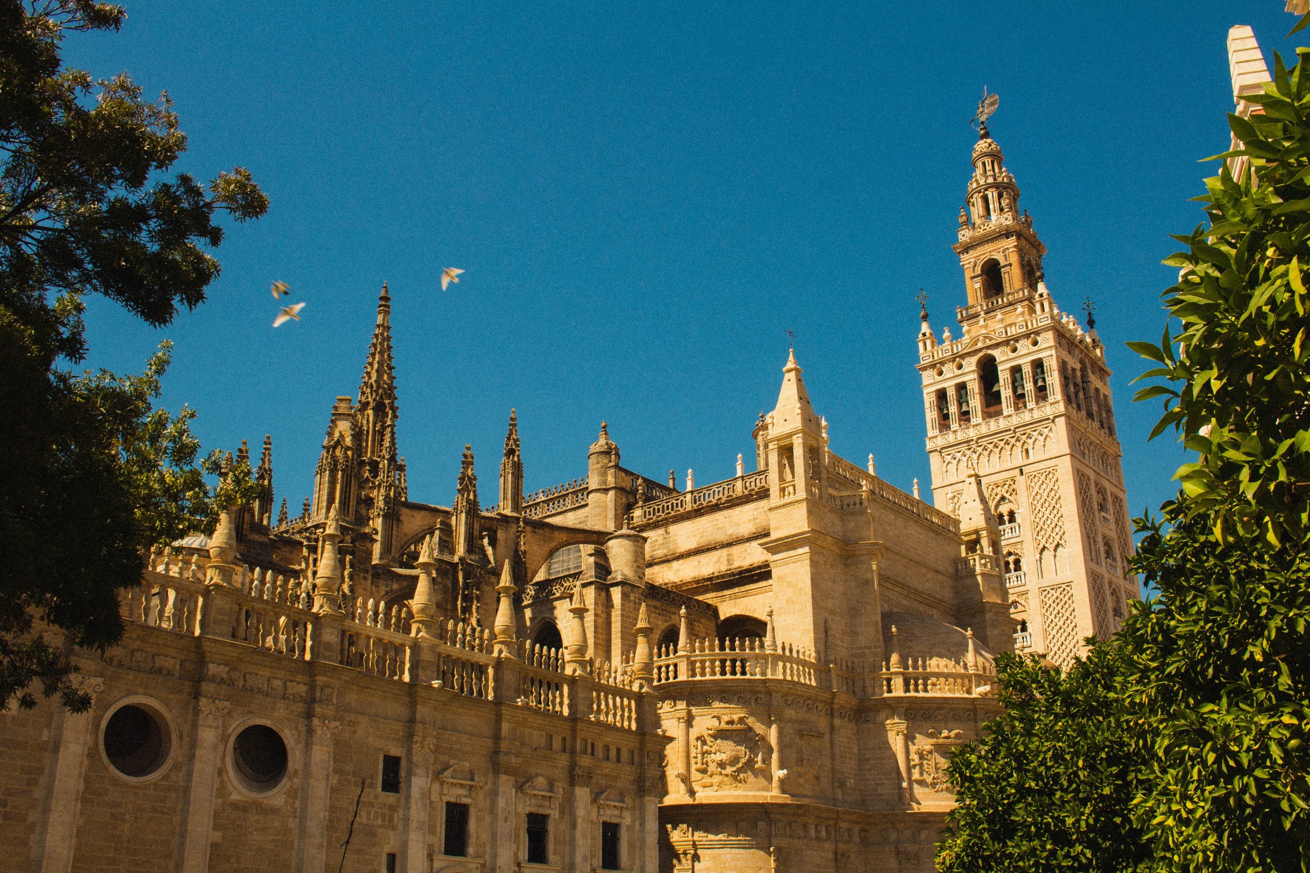 Sevilla Cathedral Citytrip Sevilla