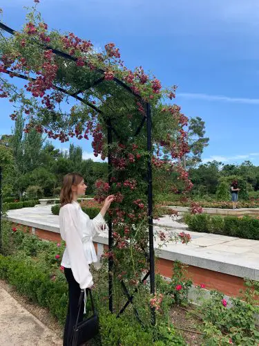 Madrid Instagram Spots El Retiro Rose Garden