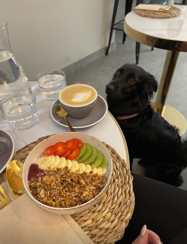 best brunch in madrid Arya coffee doggo